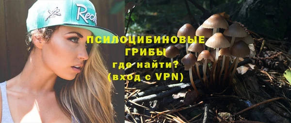 МДПВ Алексин