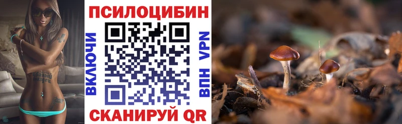 где можно купить наркотик  Трёхгорный  Галлюциногенные грибы Psilocybe 